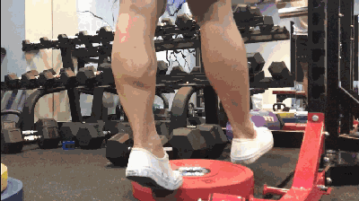 小腿进行训练，可以了解哪些动作？小腿肌肉常识了解是否充分？