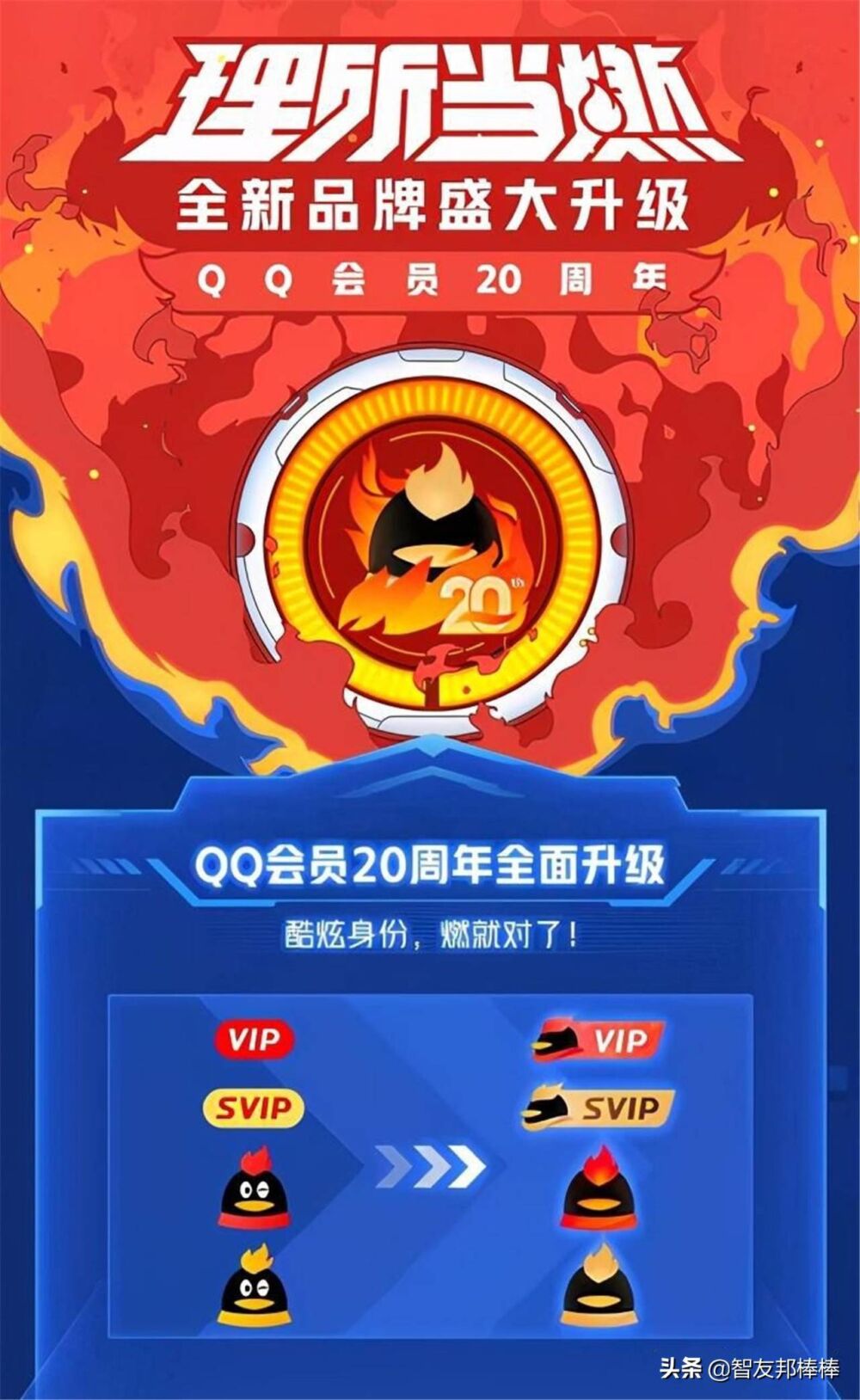 QQ新推出的QID是什么？有什么用？