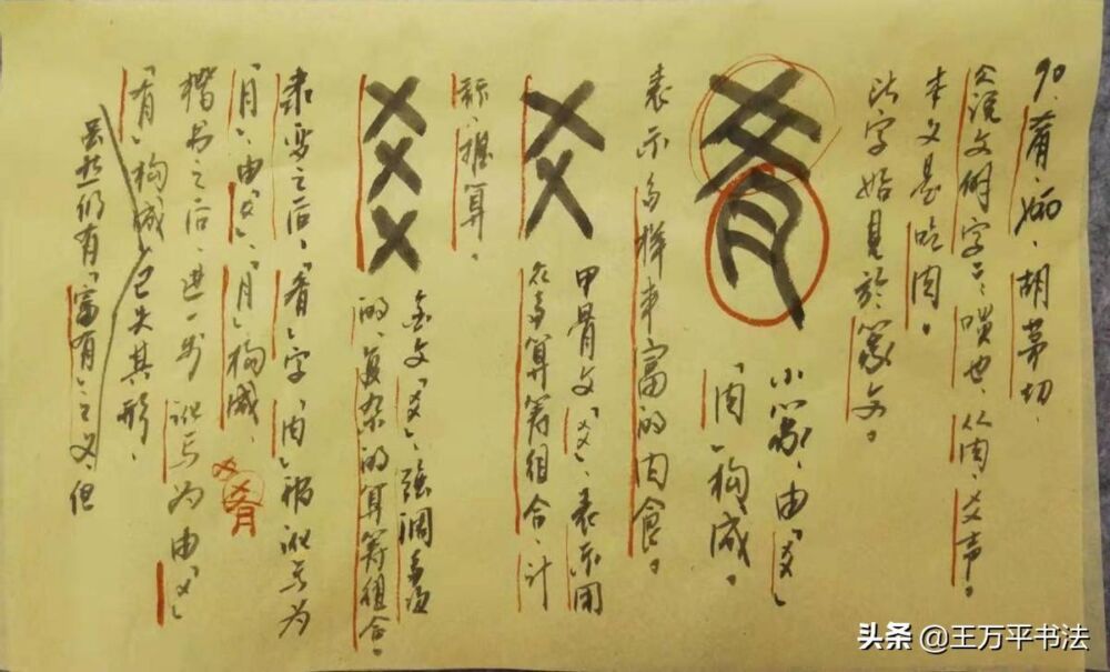 篆字识读30：腊(臘）、胄、肴，都与肉有关，却被讹写成月