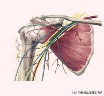 肩周炎是导致肩痛的原因，结果大家都进入误区，咋不想想其他病因