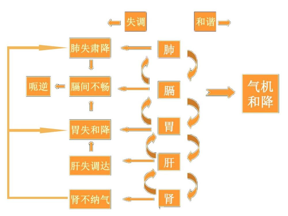 频繁打嗝、胃胀胃痛怎么办？中医疏肝理气，健脾和胃，帮你搞定