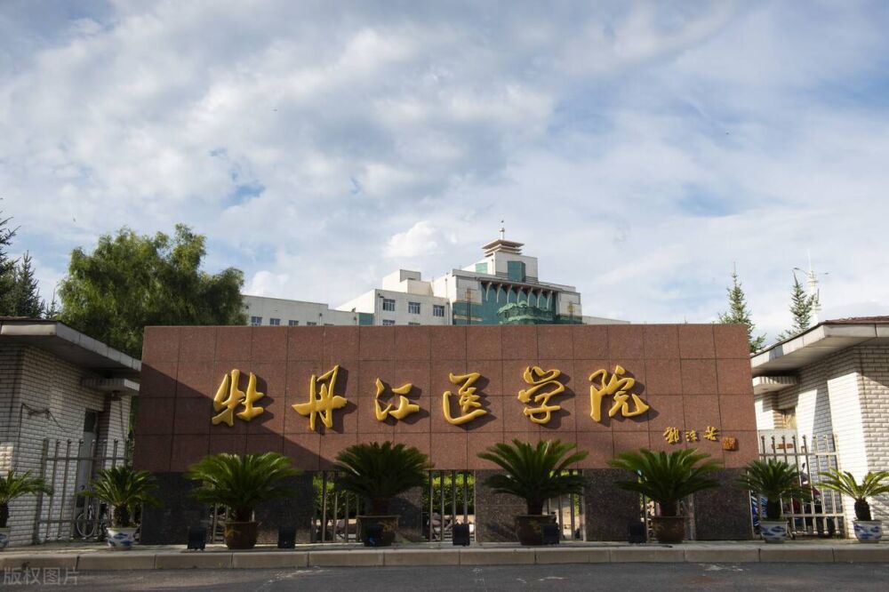 到黑龙江上医学类本科大学，有哪几所高校可以选择？