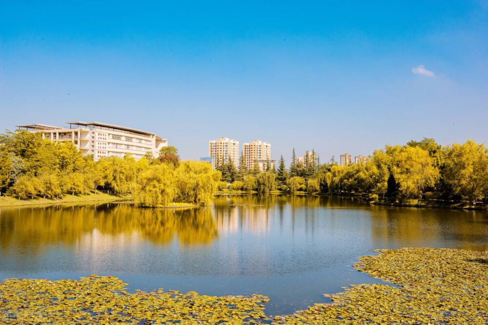 云南地州上最好的两所大学是你的母校吗？