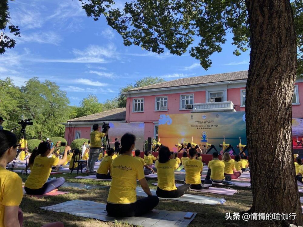 国际瑜伽日公开活动初体验