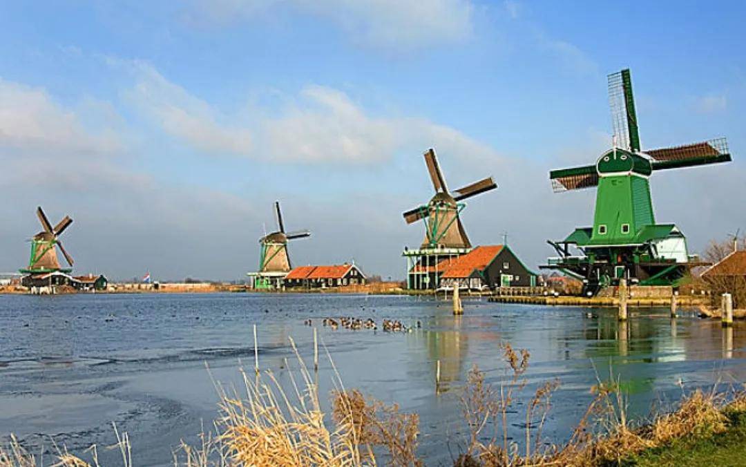 欧洲发达国家之“荷兰”的现状，带你看看真实的荷兰
