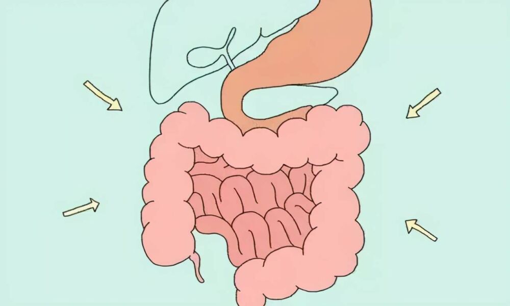 教您5种清理肠道的方法