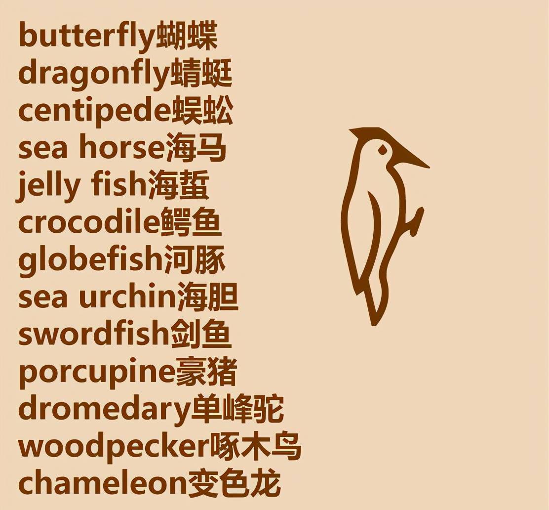 史上最不全的动物英语单词表