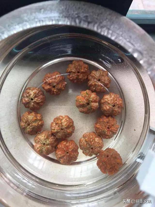 干货：金刚菩提新手入门的防裂和清理方法