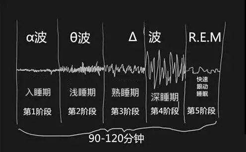 为什么有的人会梦魇？我们做梦时大脑里发生了什么？