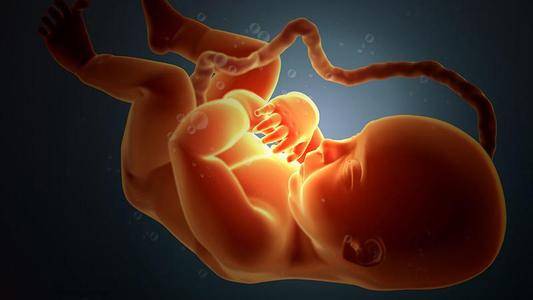 怀孕21周发生胎停，祸根是“脐带扭转”，孕妇们做好五点避免