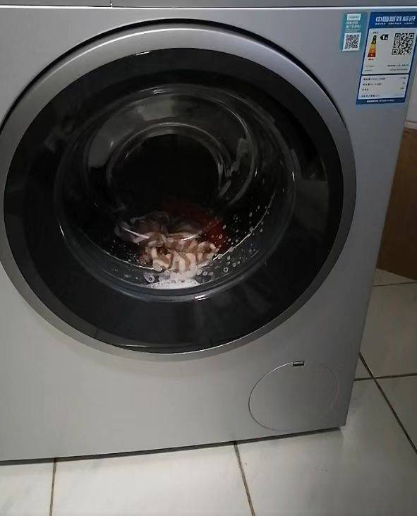 消费者称西门子洗衣机多次故障却“查无问题”，最终折旧退机