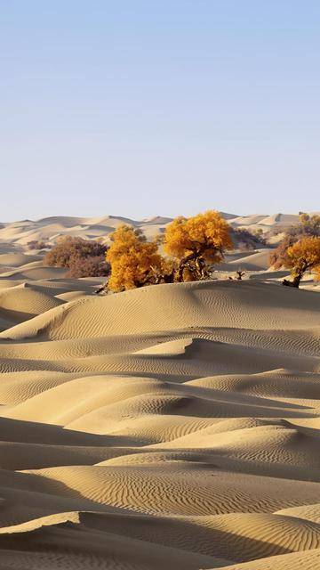 沙漠是如何形成的？沙子从哪里来？