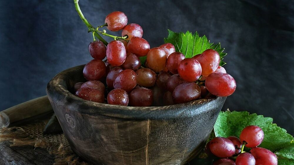 8月葡萄满园飘香，正是鲜嫩甘甜时！但你真的了解葡萄吗？