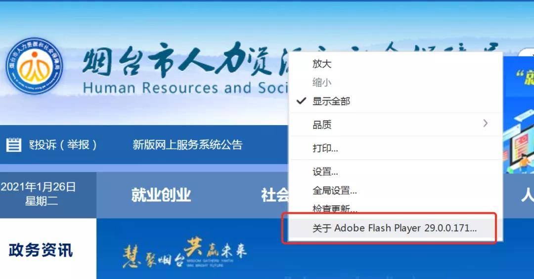 Flash停服！2021年沪牌首拍成功闯关，部分政府网站打起“补丁”