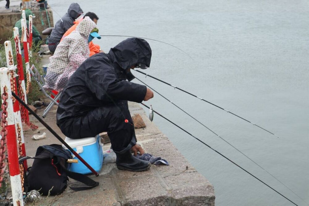 冬天钓鱼，怎样挑选“好天气”？分析冬季钓鱼4大爆护天气