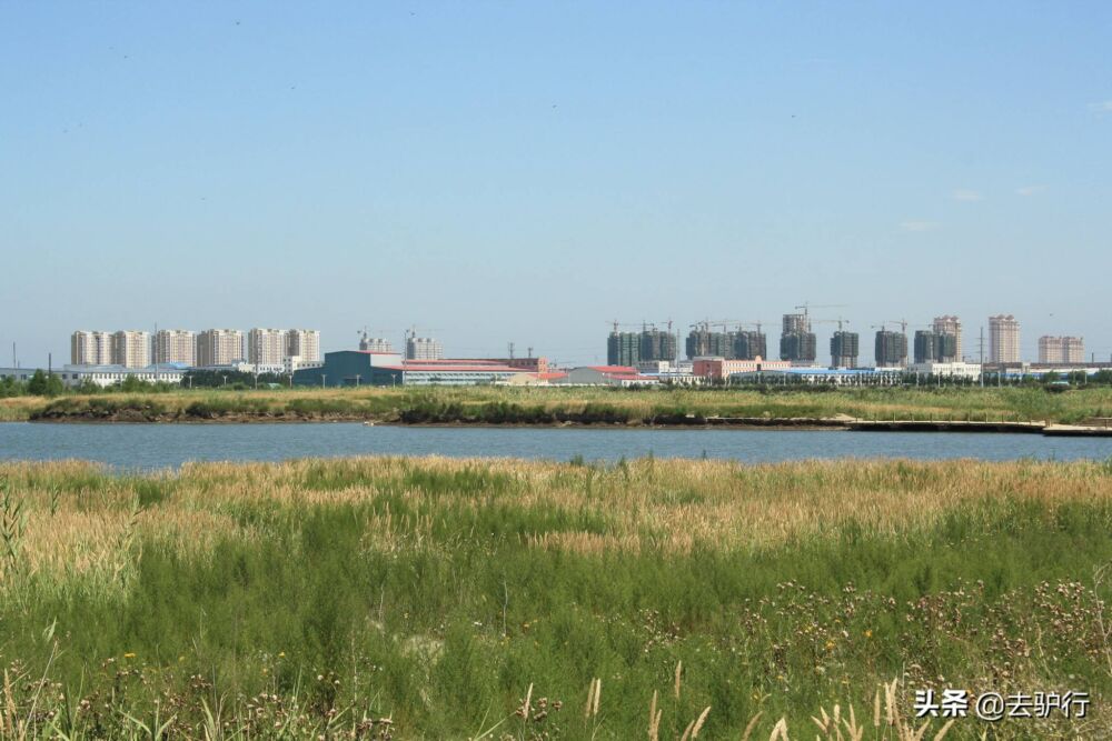 辽宁除了沈阳，还有这三座发展潜力的城市，未来谁最有机会？