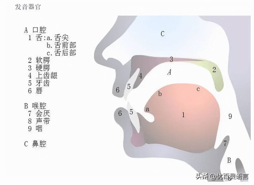 吐字发音清楚训练法