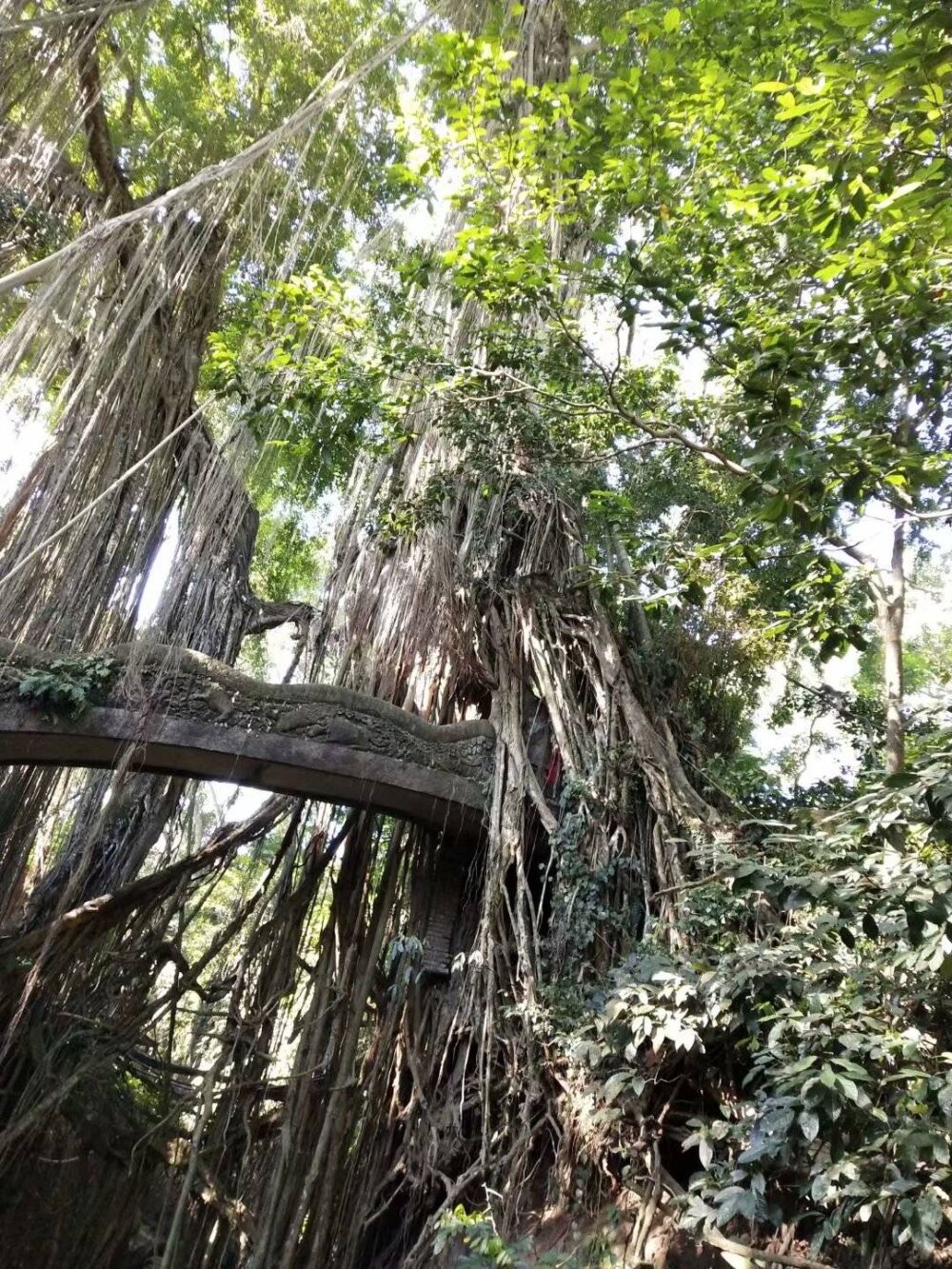 都说别去巴厘岛，然而到了之后，才后悔没早点去