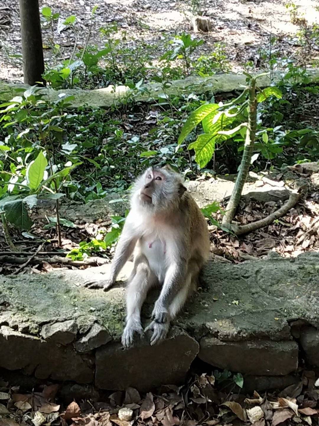 都说别去巴厘岛，然而到了之后，才后悔没早点去