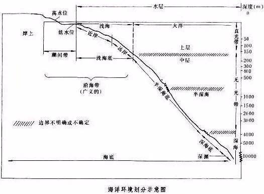 海底新视界，你敢去深海里探索嘛？海底世界究竟有什么？