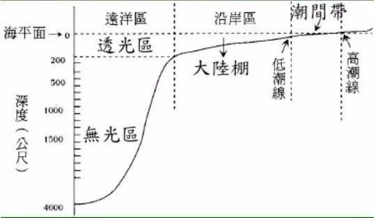 海底新视界，你敢去深海里探索嘛？海底世界究竟有什么？