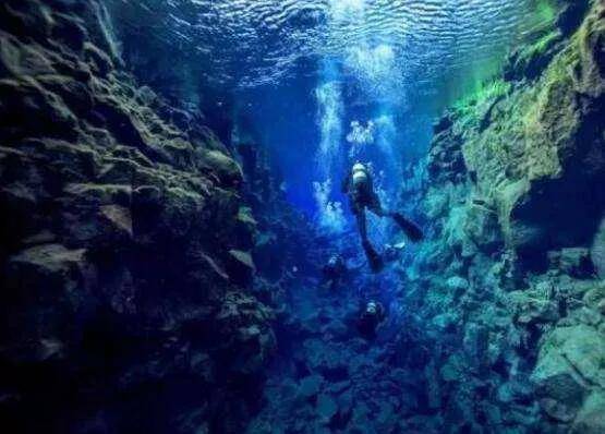海底新视界，你敢去深海里探索嘛？海底世界究竟有什么？