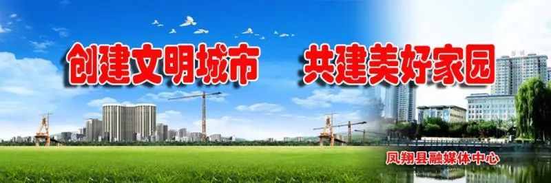 凤翔县人民政府做客宝鸡人民广播电台第1627期《政风行风热线》节目