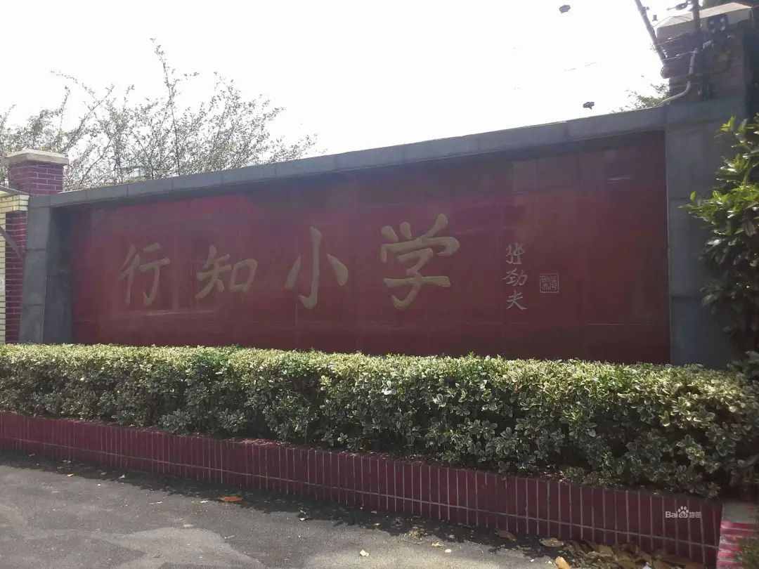 未来即将崛起！让新上海人扎根，老上海人翻盘的5个学区