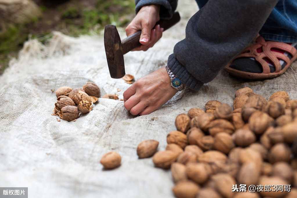 干核桃储存不难，注意3个细节，储存3年都不会变味