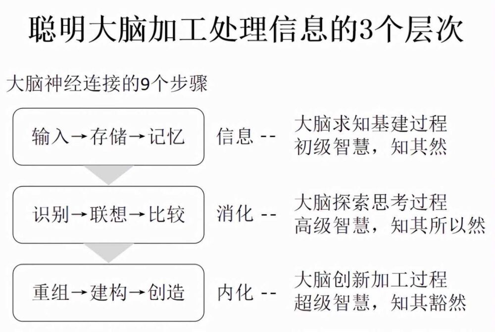 吃出聪明，你还在相信记忆、智力游戏？后天大脑变聪明的3个秘诀