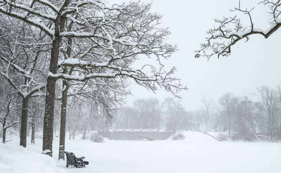 【诗词鉴赏】飞雪迎春到 瑞雪兆丰年