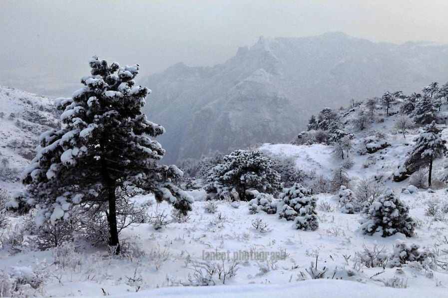 【诗词鉴赏】飞雪迎春到 瑞雪兆丰年