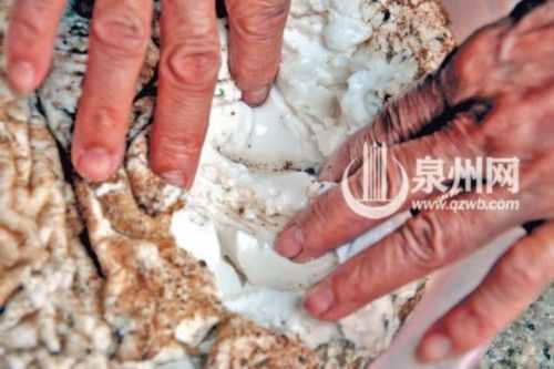 山东枣庄发现千年太岁重41斤 千年太岁到底价值多少钱？