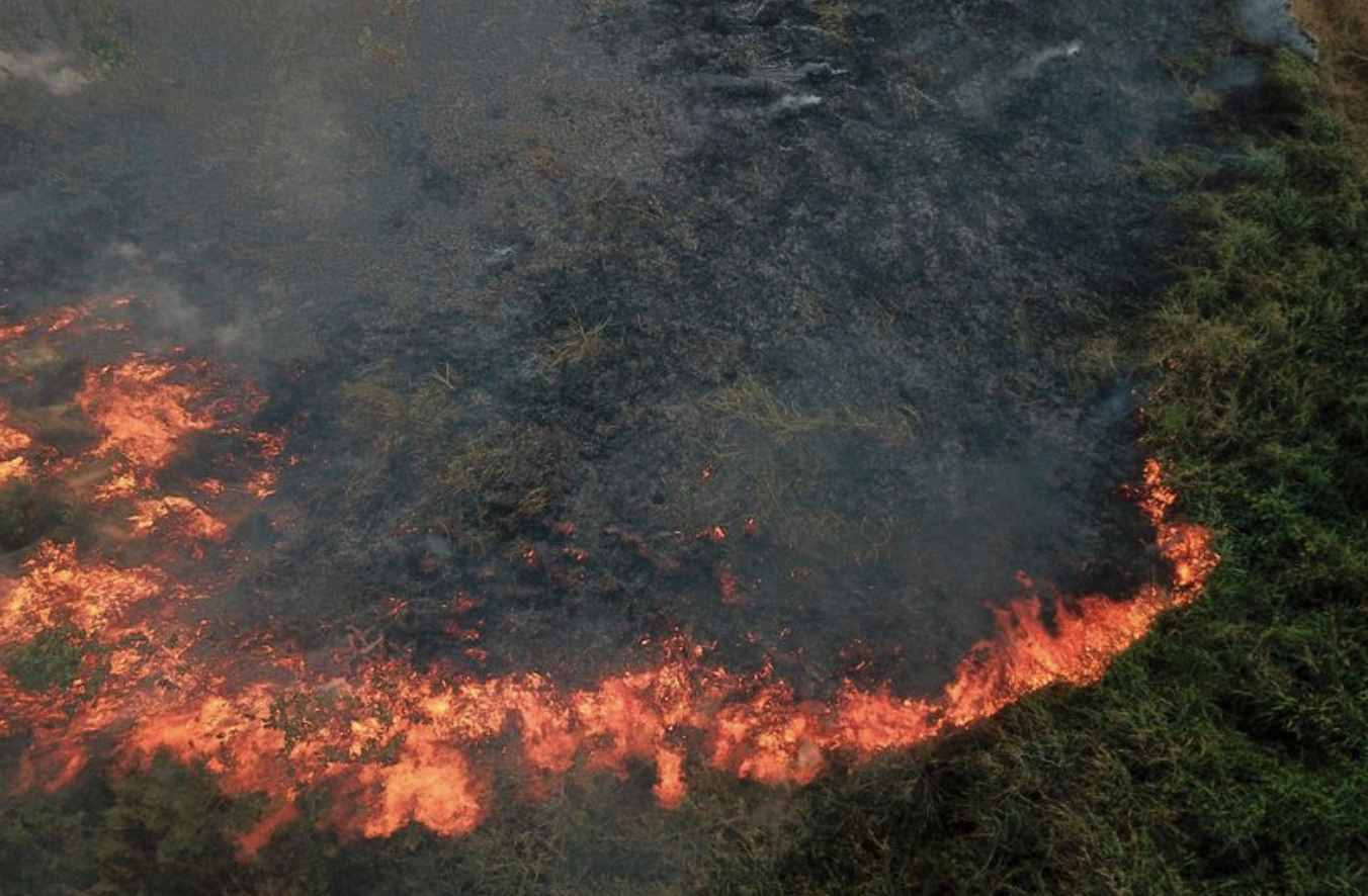 生灵涂炭！巴西亚马逊雨林再遭大火，烧毁面积相当于50万个足球场