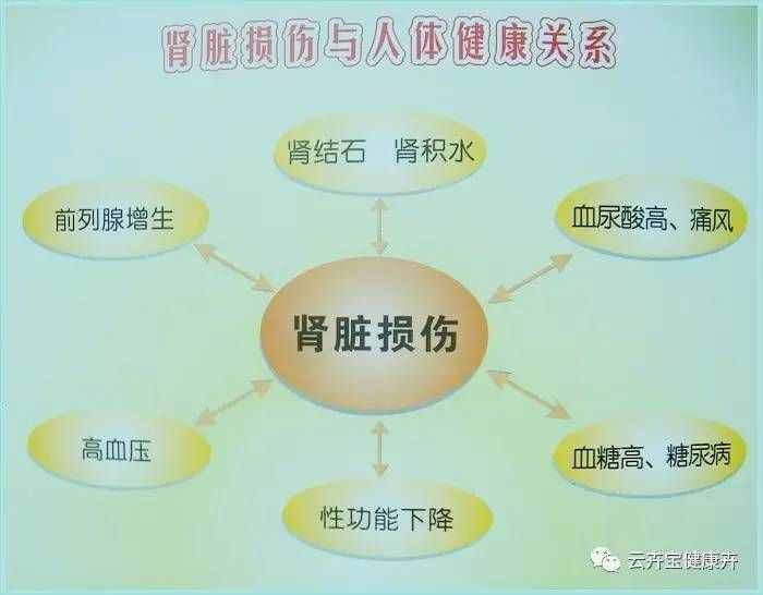 急慢性肾小球肾炎，急慢性肾小管间质性肾炎，肾炎综合征区别认知