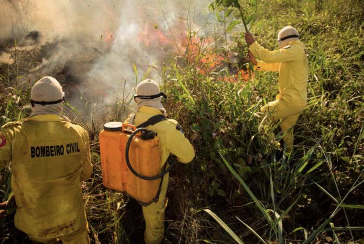 生灵涂炭！巴西亚马逊雨林再遭大火，烧毁面积相当于50万个足球场