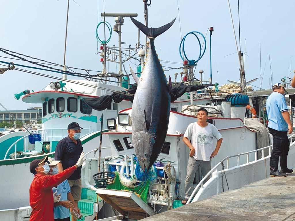 民进党当局对日本排核废水入海默不作声，台渔民怒吼要其硬起来