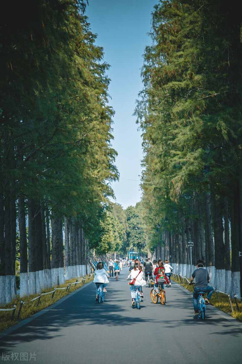 武汉东湖，中国第二大城中湖究竟有多大？有人说要逛一天