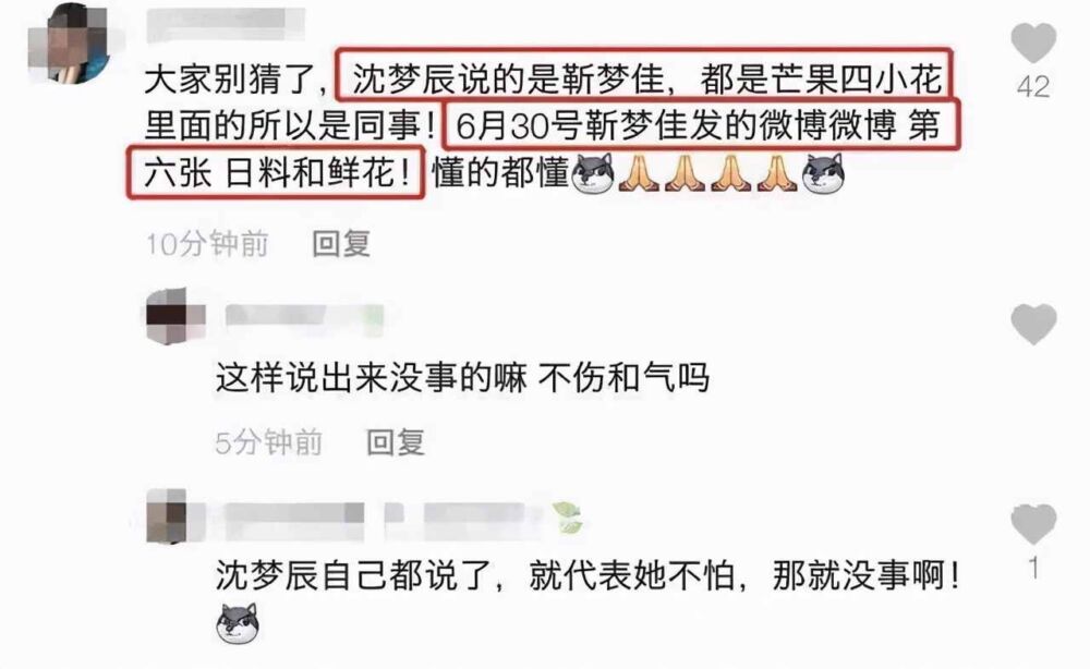 互相挖坑，越长越像：沈梦辰和靳梦佳的“相爱相杀”