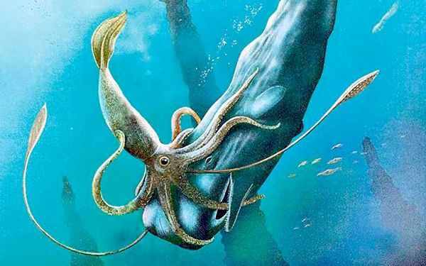 人类对深海探索到什么程度了，深海之中又有哪些奇怪的动物？