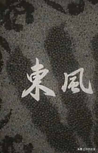 六十年代国产电影大全（1960）