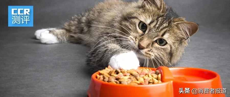 14款猫粮测试：信元发育宝可致猫猫腹泻；伟嘉、力狼含呕吐毒素