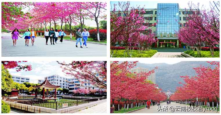 昆明高等医学院校——云南医药健康职业学院