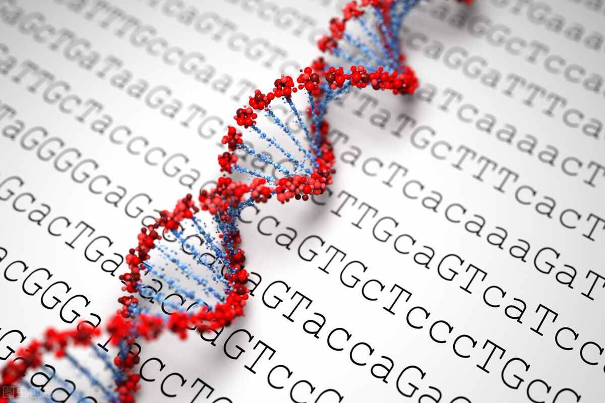 《自然》：人类基因组图谱发布20周年，生命天书的17座丰碑