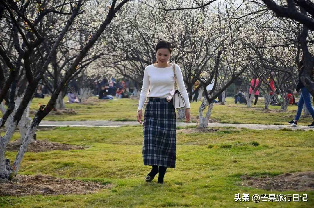 实拍一月广州最美景点香雪公园，梅花盛开游客如织，跟芒果去看看