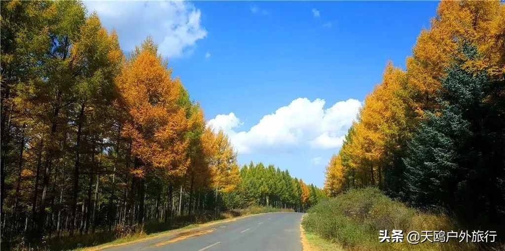 “草原之秋”木兰围场，不少清宫剧里出现的大草原，都是取景于它