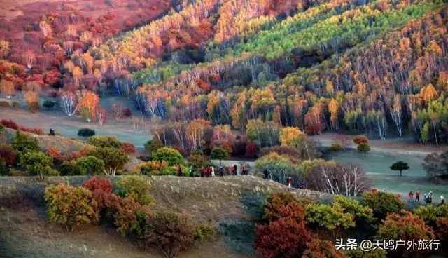 “草原之秋”木兰围场，不少清宫剧里出现的大草原，都是取景于它