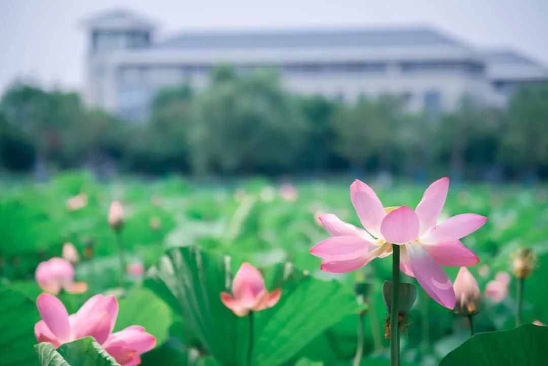 东南大学2021年硕士研究生招生章程