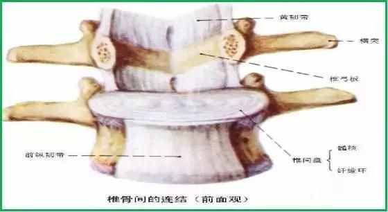 颈椎病诊断与治疗