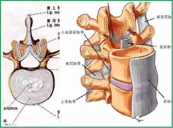 颈椎病诊断与治疗